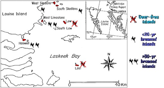 Laskeek Bay