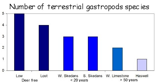 number of terrestrial gastropods species