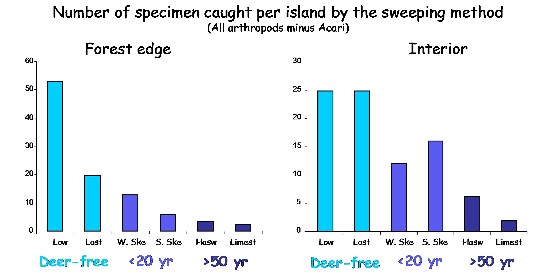 understory invertebrates abundance