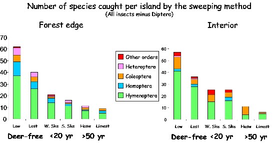 Understory invertebrates diversity