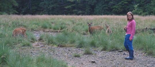 Deer group