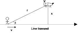 Line transects