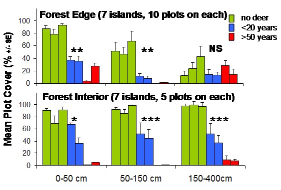 vegetation abundance