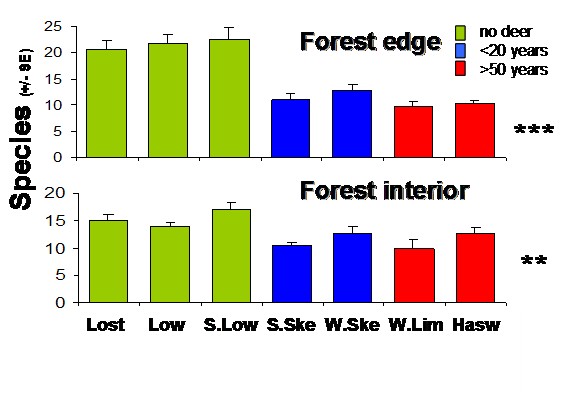 vegetation diversity