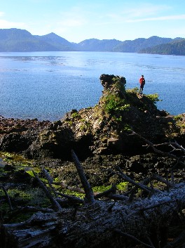 sampling shoreline vegetation