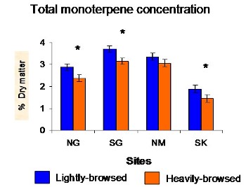 monoterpenes concentrations