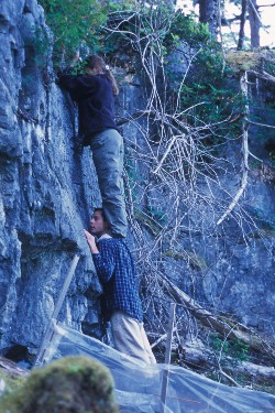 catching columbines