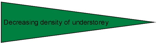 decreasing density of vegetation